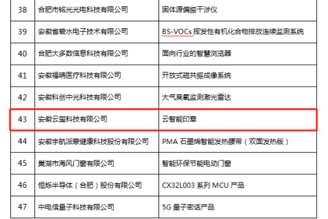 恭喜！云智能印章入選安徽省第九批信息消費(fèi)創(chuàng)新產(chǎn)品名單！(圖3)